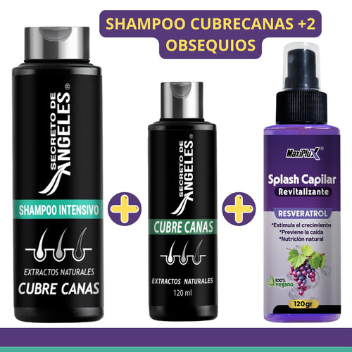 GREYZERO™ ANGELES– Recupera Tu Tono Natural Sin Tintes + ¡Obsequio 🎁!